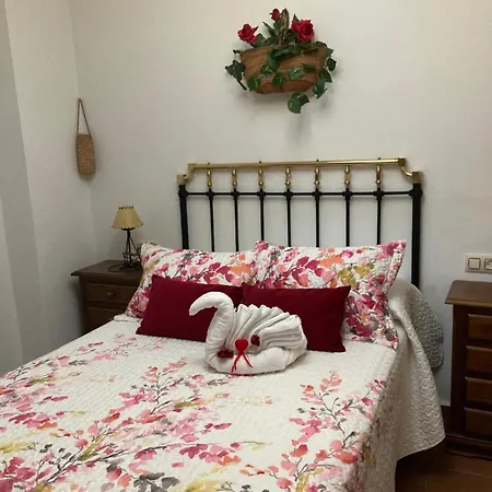 Casa Arao